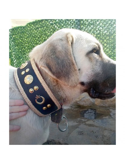 Kangal Köpek Tasması Hakiki Deri Geniş