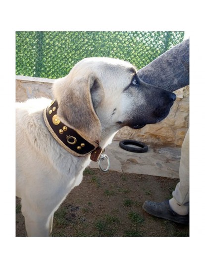 Kangal Köpek Tasması Hakiki Deri Geniş