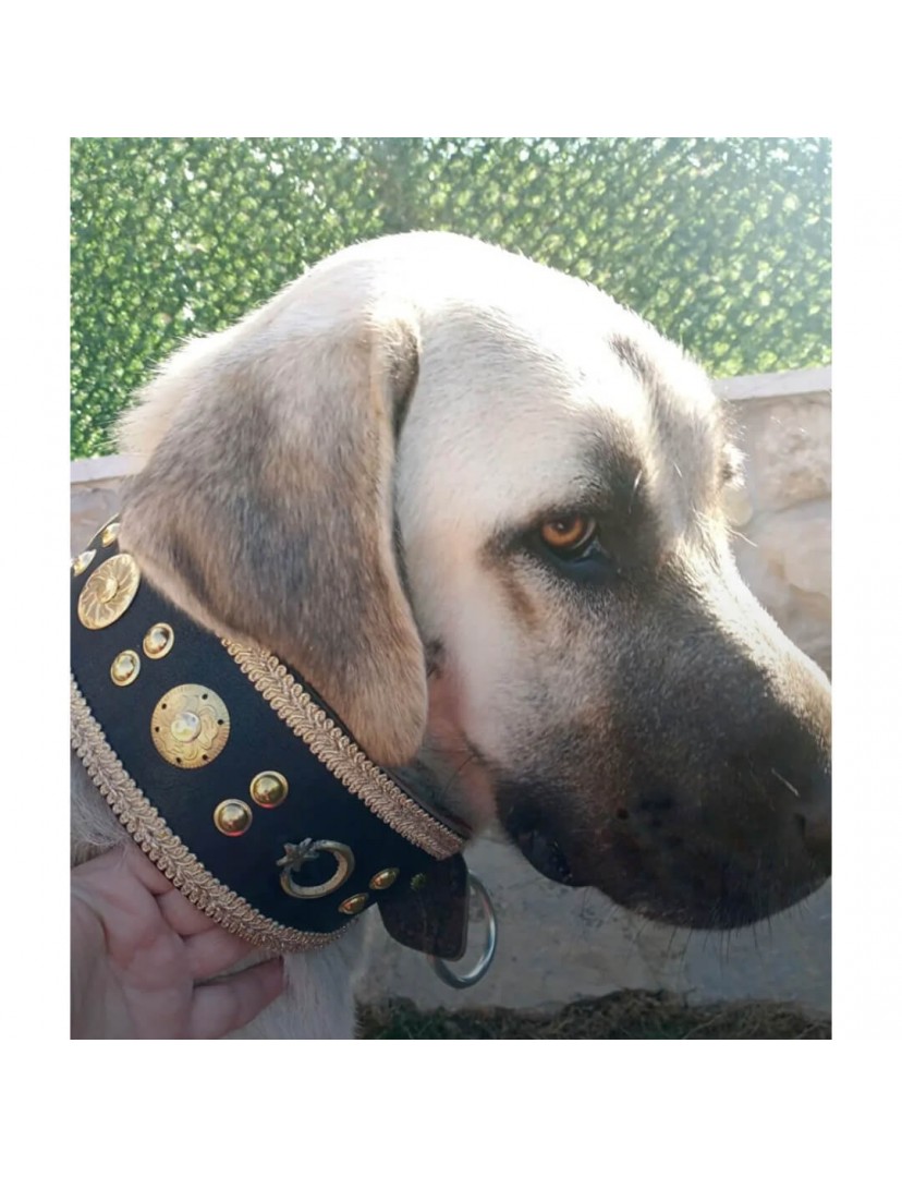 Kangal Köpek Tasması Hakiki Deri Geniş