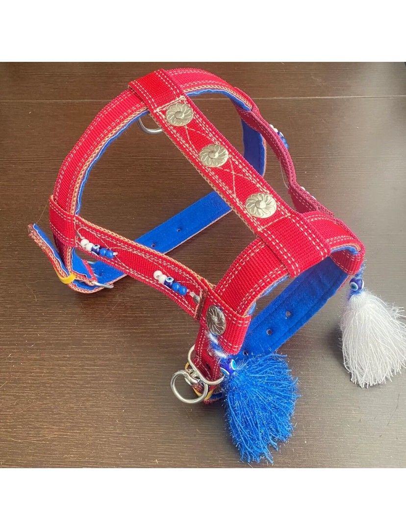 Çift Kat Sırttan Kangal Köpek Tasması Palaska