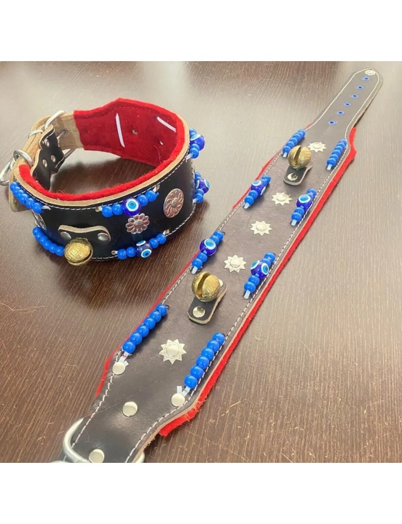 Zilli Hakiki Deri Kangal Köpek Tasması 1. Sınıf