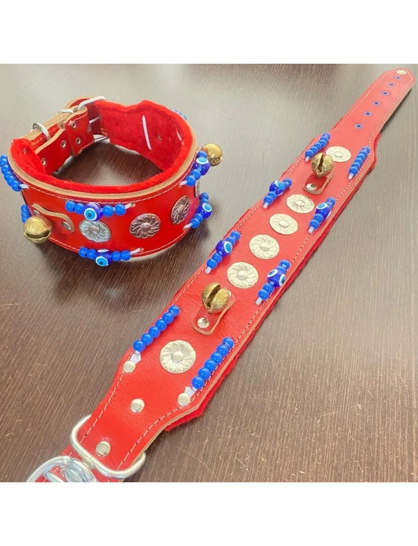 Zilli Hakiki Deri Kangal Köpek Tasması 1. Sınıf