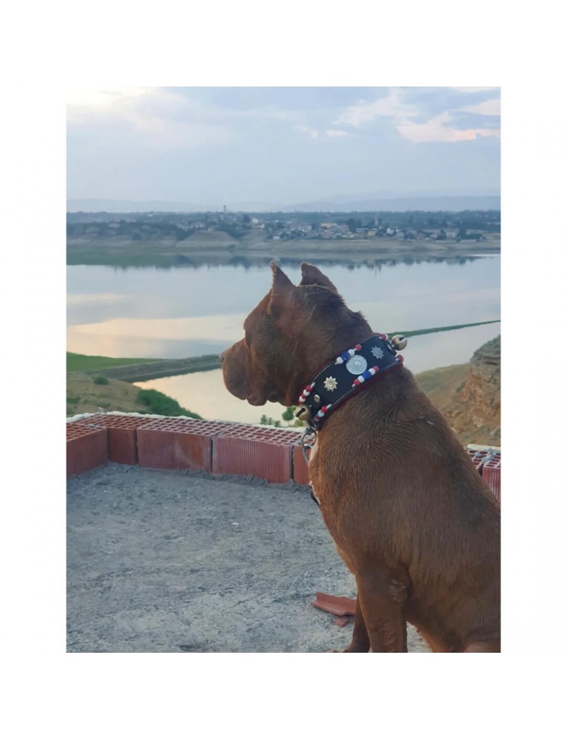 Yavru Deri Köpek Tasması 2 Zilli Siyah