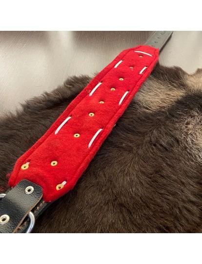 Geniş Deri Kangal Köpek Tasması Zilsiz Model Hakiki Manda Derisi